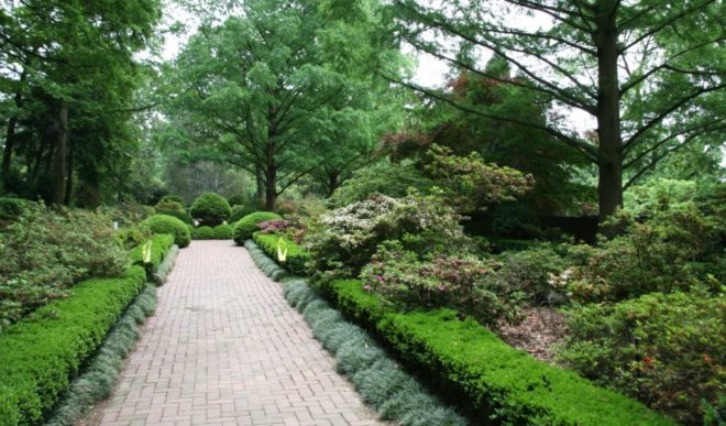 path between garden