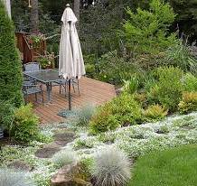 chairs at garden