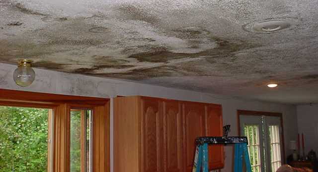 damage roof